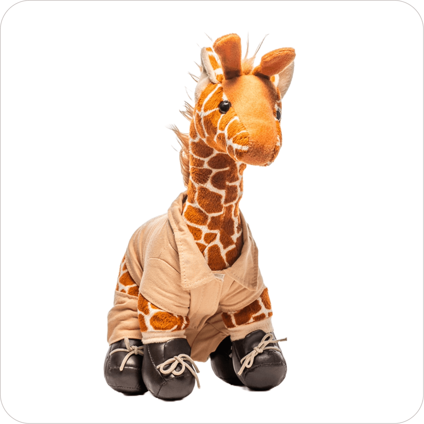 Cherished Companions